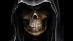 Mr.Bones